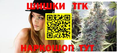 стаф Кингисепп