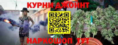 стаф Кингисепп