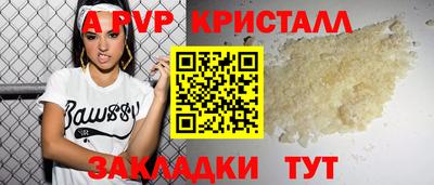 стаф Кингисепп
