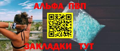 стаф Кингисепп