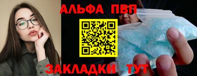 стаф Кингисепп
